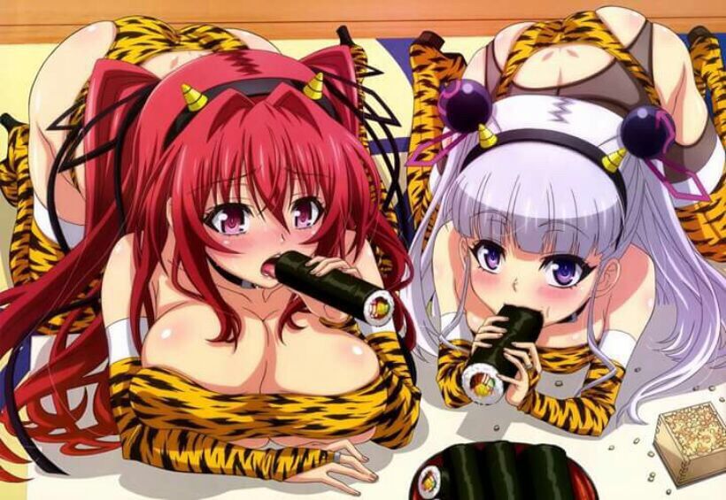 Shinmai Maou no Testament _hq