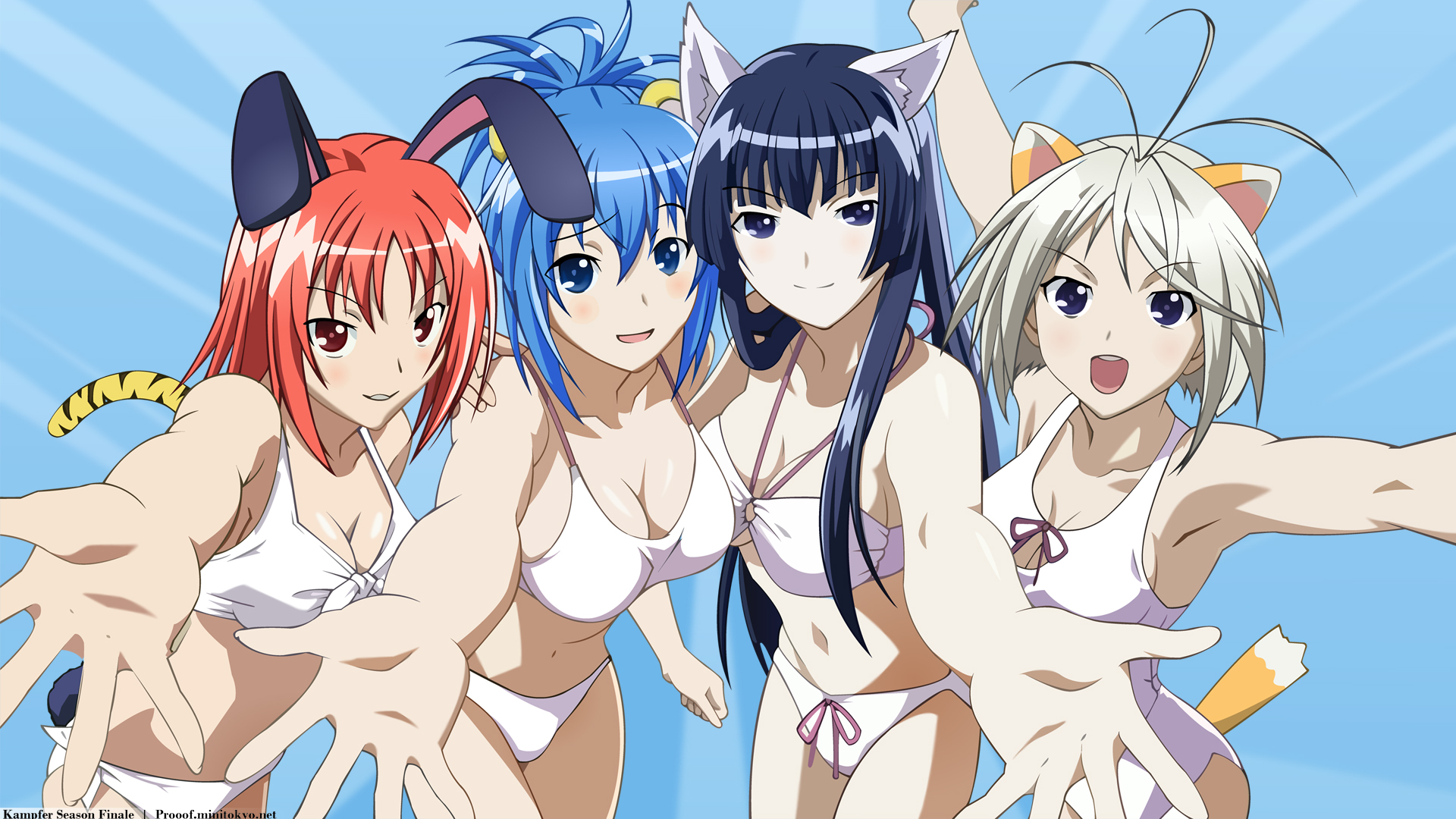 Kampfer fur die Liebe