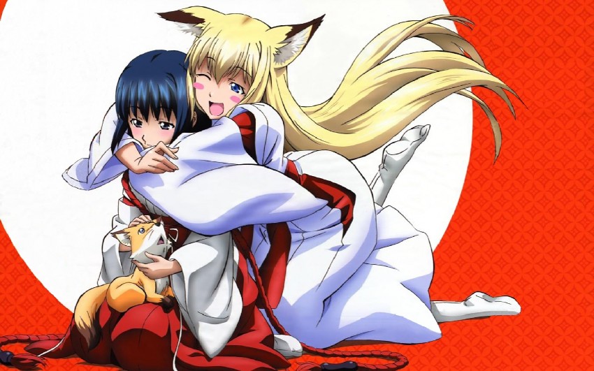 wagaya-no-oinari-sama-special