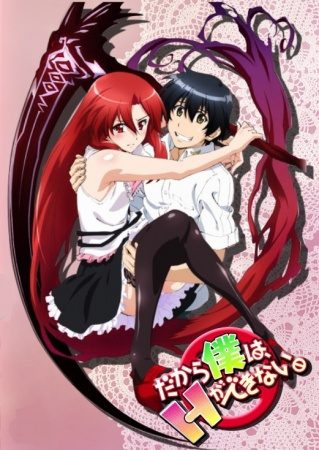 Dakara Boku wa, H ga Dekinai [BD]