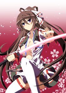 IS: Infinite Stratos 2 – World Purge-hen [BD]