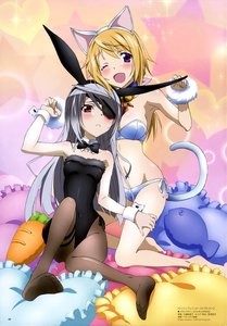 IS: Infinite Stratos 2 – Hitonatsu no Omoide [BD]