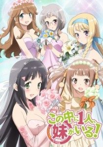 Kono Naka ni Hitori, Imouto ga Iru! + OVA [BD]