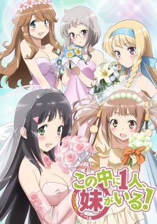 Kono Naka ni Hitori, Imouto ga Iru! + OVA [BD]