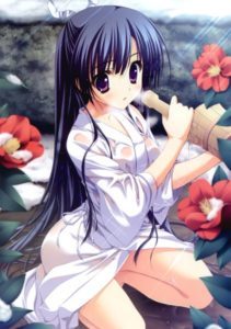 Hoshizora e Kakaru Hashi (OVA)