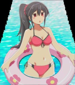 Oneechan ga Kita Special