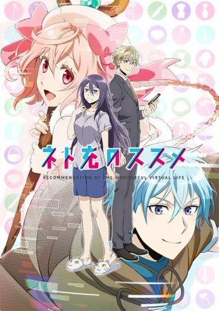 Net-juu no Susume [BD]
