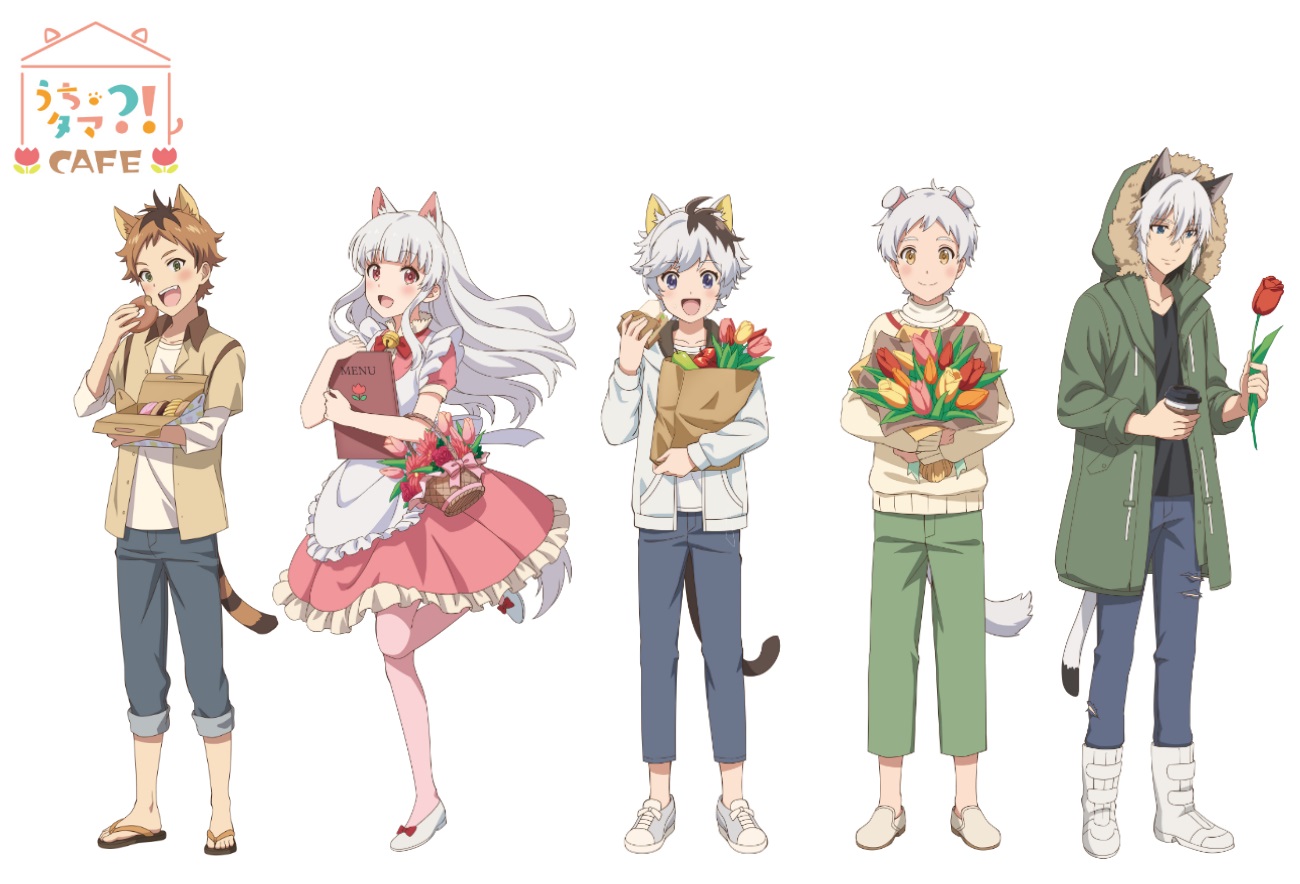 Uchi Tama?! Uchi no Tama Shirimasen ka?