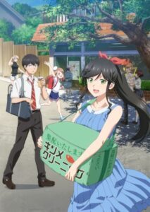 Kirei ni Shitemoraemasu ka